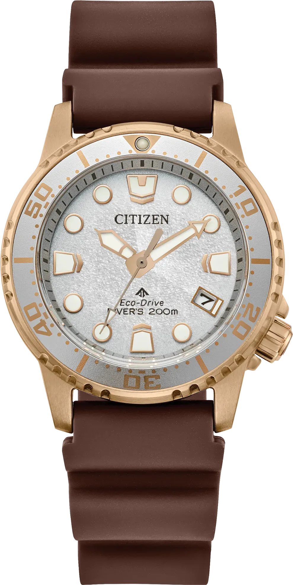 Citizen Promaster Diver — alternative to CWC Arctic Radar Quartz Diver Watch