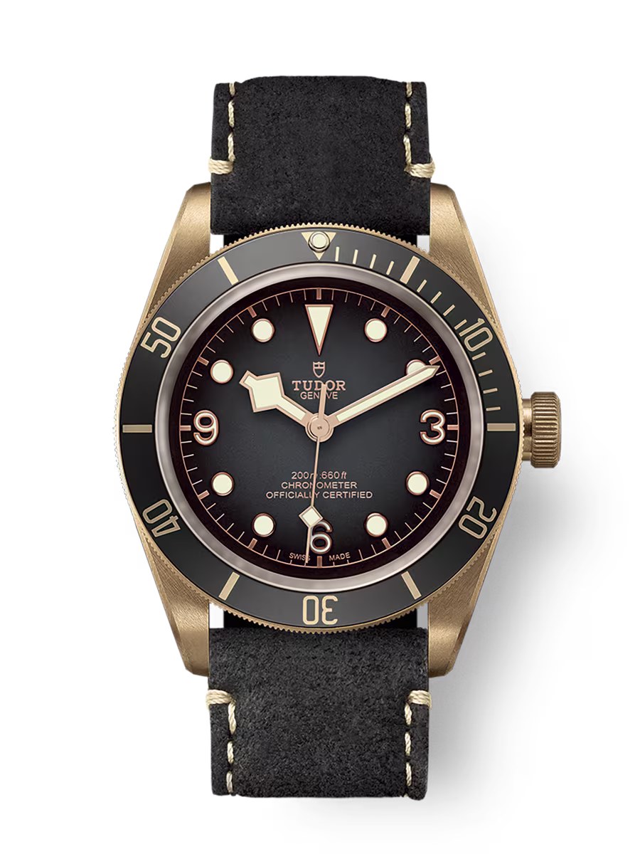 Black Bay Bronze