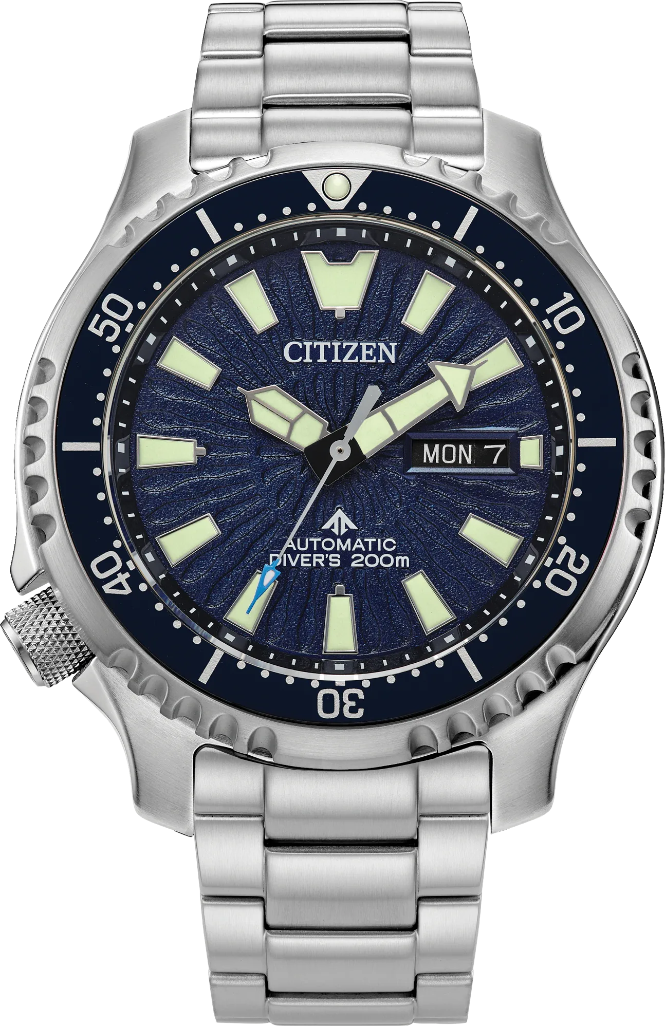 Citizen Promaster Diver Automatic — alternative to Seiko Prospex Sea 1970 Heritage Diver's Black Series Limited Edition