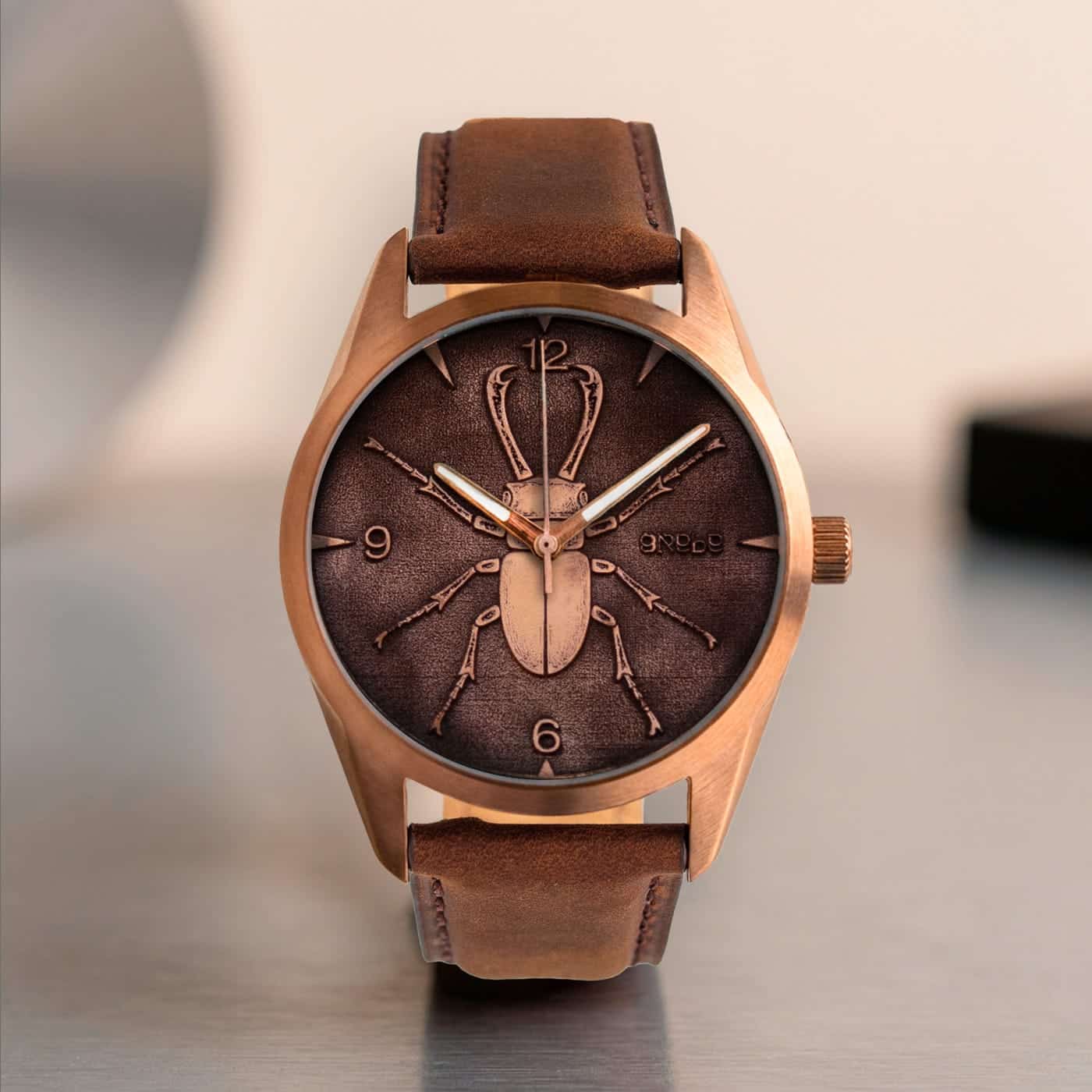 Castor Watches Cantaría